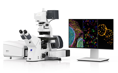 초해상도 공초점 현미경