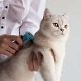 아래 내용과 동일